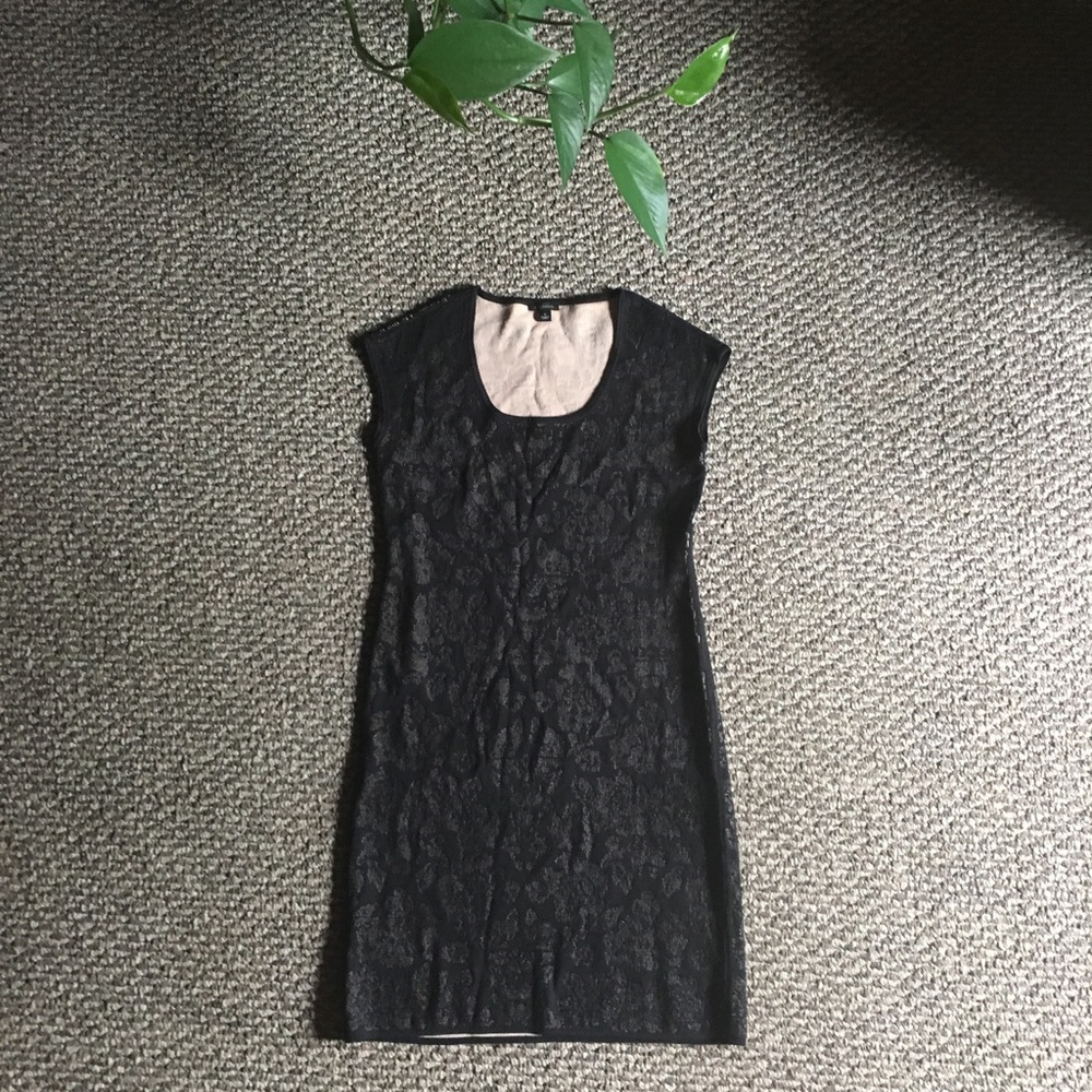 Ann Taylor Jacquard Lace Knit Cap Sleeve dress